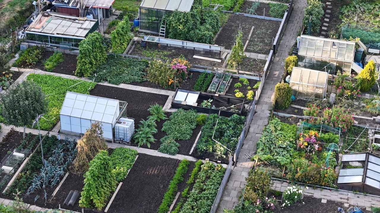 Luchtfoto van de moestuinen in Molenvliet