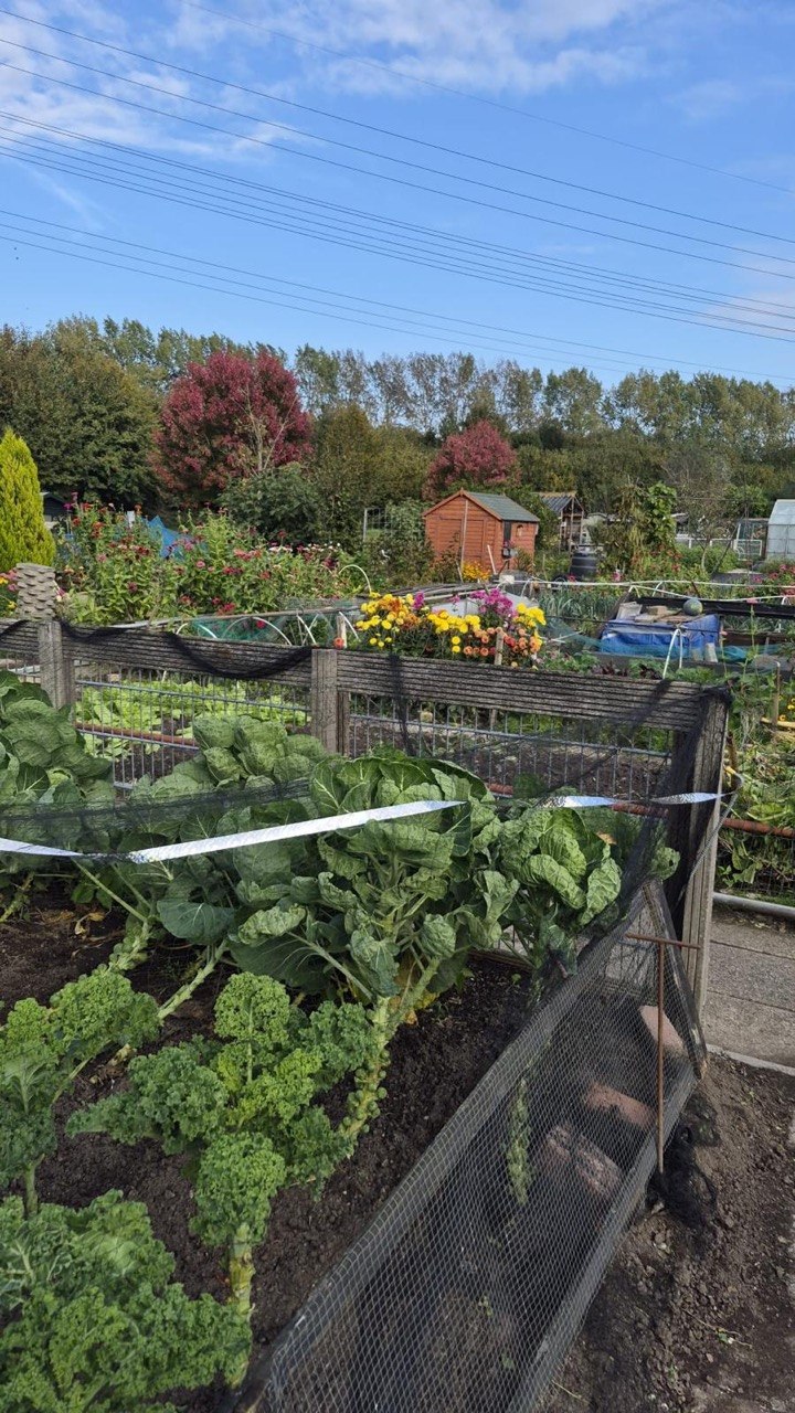 Moestuin met bloemen en groentebedden