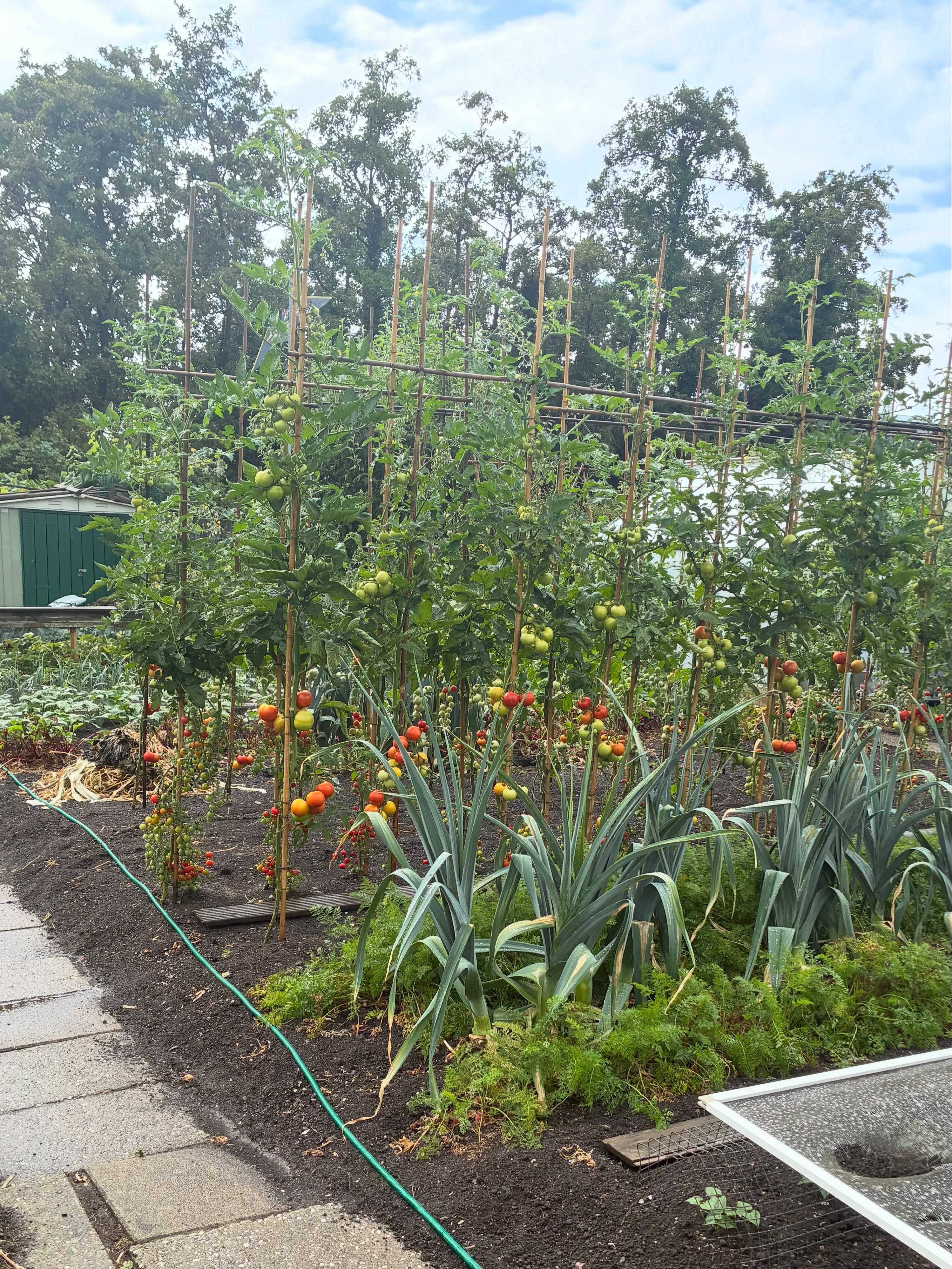 Groentebedden en beplante moestuinen